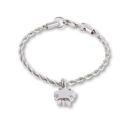 RVS Aurora Armband met Ashanger Schitterende Ster