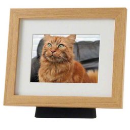 Grote Dierenurn met Eikenhouten Fotolijst (4 liter)