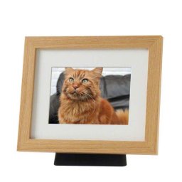 Medium Dieren Urn met Eikenhouten Fotolijst (1.1 liter)