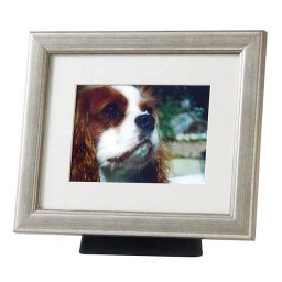 Grote Dieren Urn met Zilverkleurige Fotolijst (4 liter)
