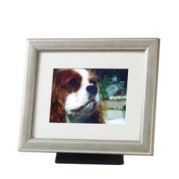 Medium Dierenurn met Zilverkleurige Fotolijst (1.1 liter)