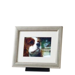Kleine Dieren Urn met Zilverkleurige Fotolijst (0.6 liter)