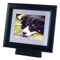 Grote Dierenurn met Zwarthouten Fotolijst (4 liter)