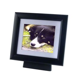 Medium Dieren Urn met Zwarthouten Fotolijst (1.1 liter)