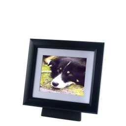 Kleine Dierenurn met Zwarthouten Fotolijst (0.6 liter)