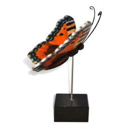 Kleine Houten Asvlinder Kleine Vos (0.003 liter)
