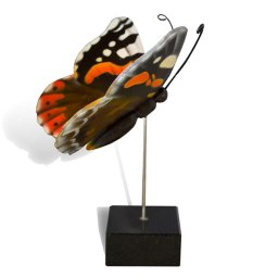 Kleine Houten Asvlinder Atalanta (0.003 liter)