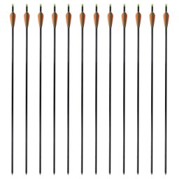 vidaXL Pijlen compoundboog standaard 30" 0,8 cm glasvezel 12 stuks