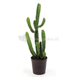 Kunstplant Finger cactus M