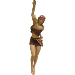 TB-FSC-223 Pirate Climbing Lady Sexy Girl - Piraat