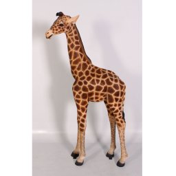 H-120004 Giraffe Baby 6 ft - Giraf