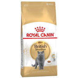 10kg British Shorthair Adult Royal Canin Breed Kattenvoer