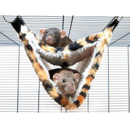Savic Hangmat Relax de Luxe Fake Fur 35x21x21cm
