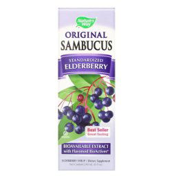 Original Sambucus, Standardized Elderberry (240 ml)- Nature's Way