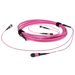 ACT DC5261 Glasvezel Patchkabel 50/125 OM4(OM3) Polarity B Trunkkabel MTP/MPO Female - 50 meter