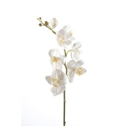 Emerald - Phalaenopsistak - Orchidee - Kunstbloem - 75 cm - 1 stuks - Creme