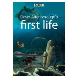 David Attenborough's First Life - BBC Earth - Deel 2 - DVD