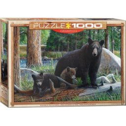 New Discoveries Puzzel (1000 stukjes)
