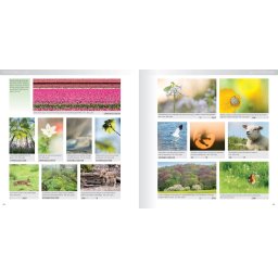 Birdpix Praktijkboek Natuurfotografie Jaarrond