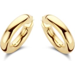 Casa Jewelry Oorringen Boa - Zilver - Goud Verguld - 35 mm