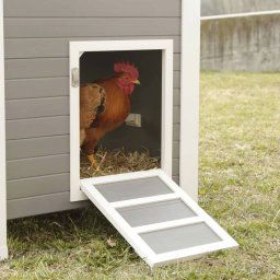 Kerbl ECO Kippenhok Barney 137x73x83 cm kunststof grijs en wit