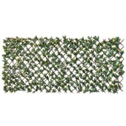 Wilgen tuinafscheiding klimrek met ligusterblad - 90 x 180 cm
