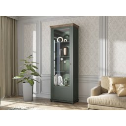 Kolomkast EVOCO 1 deur ribbec eik/groen