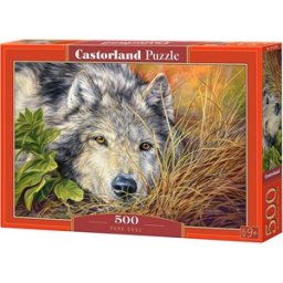 Pure Soul Puzzel (500 stukjes)