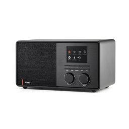 Pinell Supersound 301 Hybride radio Zwart