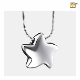 Ashanger Ster Zilver, inclusief Design Slangencollier