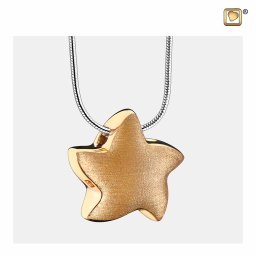 Ashanger Ster Bicolor Verguld Zilver, inclusief Design Slangencollier