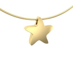 Gouden Assieraad Zeester