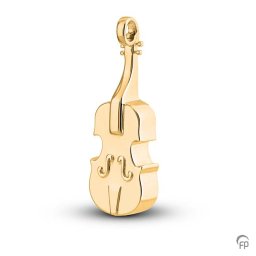 Gouden Ashanger Viool
