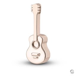 Witgouden Ashanger Gitaar
