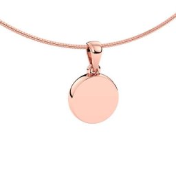 Ashanger Disk Rozegoud