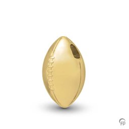 Ashanger American Football Goud