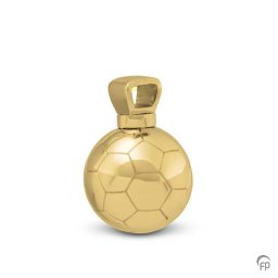 Ashanger Voetbal Goud