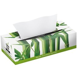 Cheeky Panda Tissues Box