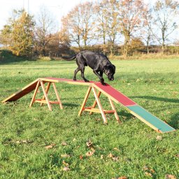 Trixie Loopplank Dog Activity Agility L456 x B30 x H64 cm