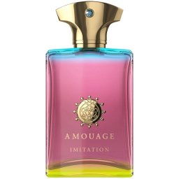 Amouage / Imitation - Eau de Parfum for Him 100 ml