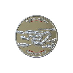 Armenia - Żmija- fauna Kaukazu