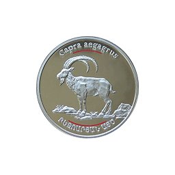 Armenia - Koza - fauna Kaukazu