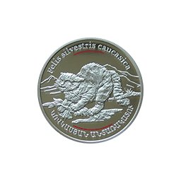 Armenia - Żbik - fauna Kaukazu