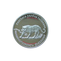 Armenia - Pantera - fauna Kaukazu