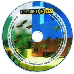 Film DVD. Gospodarka w styropianowych ulach wielokorpusowych (S. Trzybiński)
