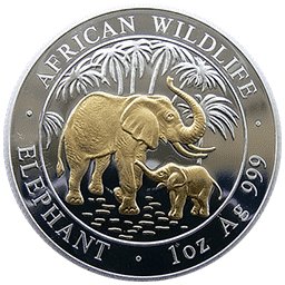 Somalia - 100 szylingów 2007 - Słoń - pozłacana