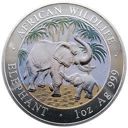 Somalia - 100 szylingów 2007 - Słoń - emaliowana