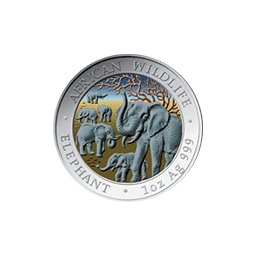 Somalia - 100 szylingów 2008 - Słoń - Emaliowana