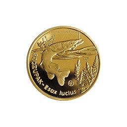 10 Złotych rybek 2008 - Szczupak