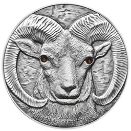 Mongolia - 2013 - 500 Togrog - Argali Ovis Ammon